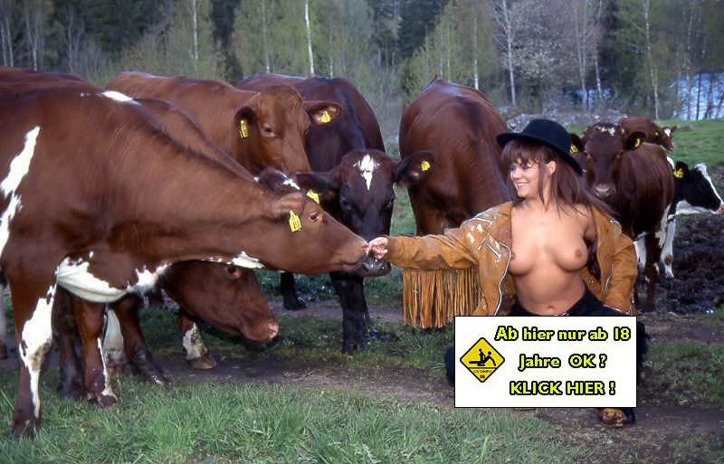 Noch schrfer? Klicke auf das Bild...