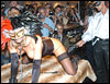 10.Venus - Berlin 2006